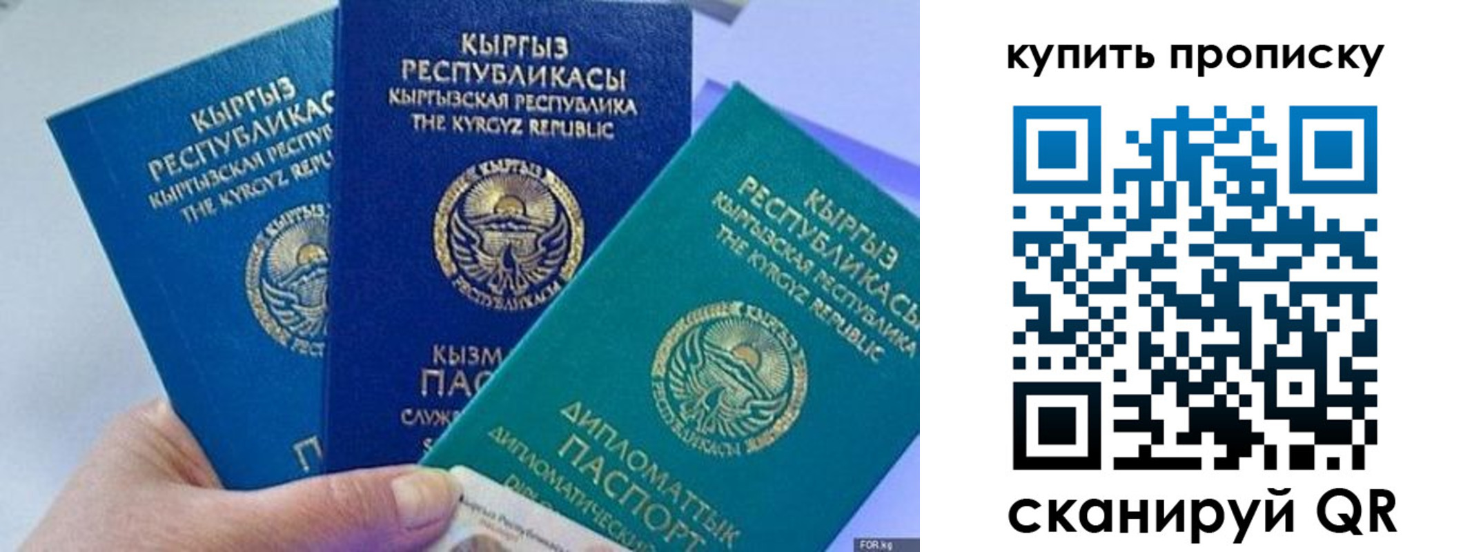 где прописаться в Электростали